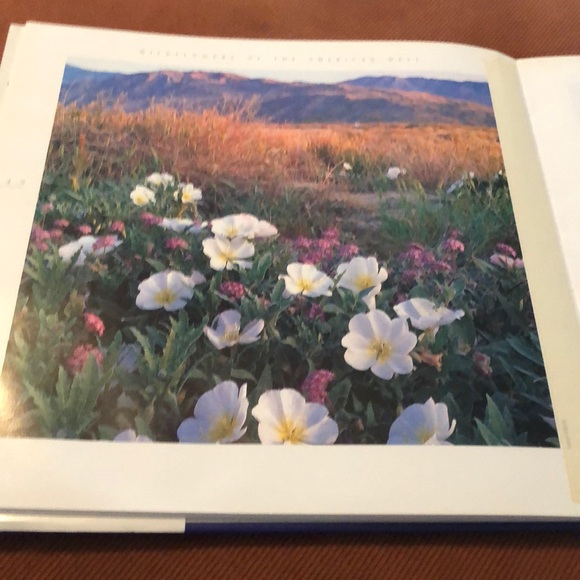 WILDFLOWERS OF THE AMERICAN WEST • HARDCOVER COFFEE TABLE BOOK - Picture 6 of 15